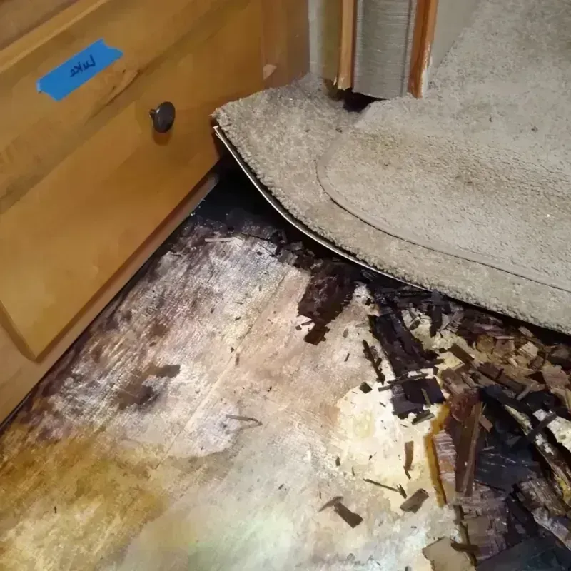 Wood Floor Water Damage in El Mirage, AZ